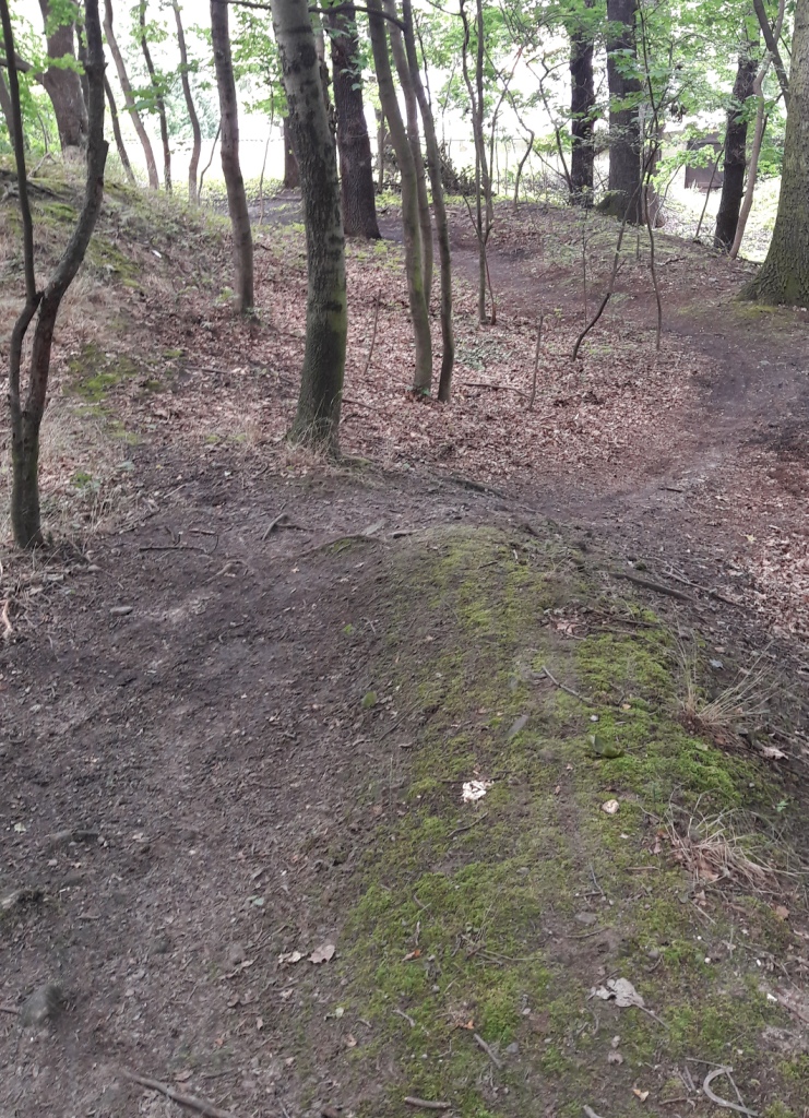 Wellenreiten