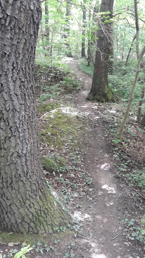 Klasse Singletrails