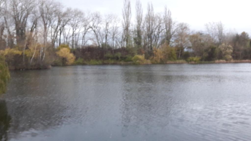 Still ruht der See