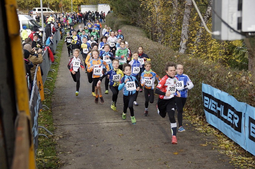 Die U13 startet zum Crosslauf