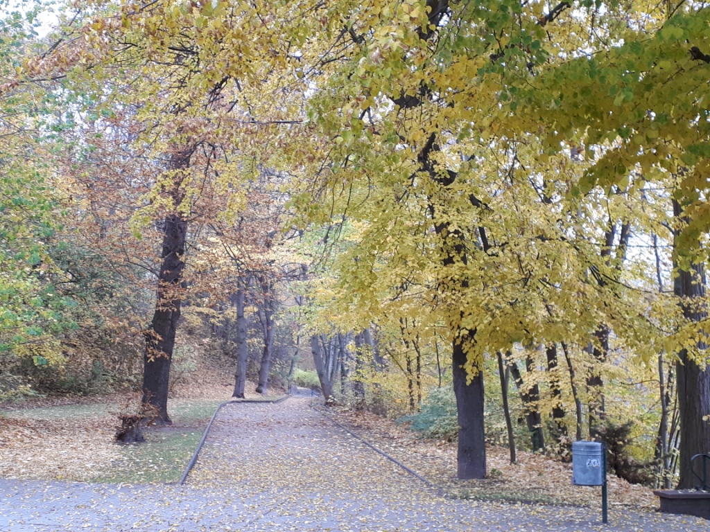 Goldener November in Granschütz